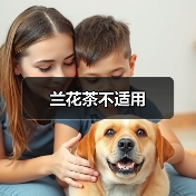 兰花茶不适用(图4) 兰花茶不适用(图4)