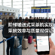 阶梯输送式采茶机实现采摘效率与质量双保证(图2) 阶梯输送式采茶机实现采摘效率与质量双保证(图2)