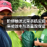 阶梯输送式采茶机实现采摘效率与质量双保证(图3) 阶梯输送式采茶机实现采摘效率与质量双保证(图3)