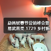 勐昌號春节营销峰会暨易武真柔 1729 乡村振兴产品发布会隆重举行(图2) 勐昌號春节营销峰会暨易武真柔 1729 乡村振兴产品发布会隆重举行(图2)