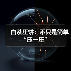 白茶压饼：不只是简单“压一压”（图1）