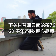 下关甘普洱云南沱茶7663 千年茶脉·匠心品质(图3) 下关甘普洱云南沱茶7663 千年茶脉·匠心品质(图3)