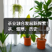 茶业融合发展新探索!茶、烟草、历史……多领域行业大咖聚智谋发展(图4) 茶业融合发展新探索!茶、烟草、历史……多领域行业大咖聚智谋发展(图4)