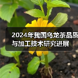 2024年我国乌龙茶品质与加工技术研究进展（图1）
