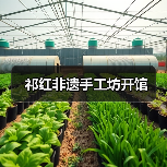 祁红非遗手工坊开馆(图1) 祁红非遗手工坊开馆(图1)