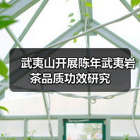 武夷山开展陈年武夷岩茶品质功效研究(图4) 武夷山开展陈年武夷岩茶品质功效研究(图4)
