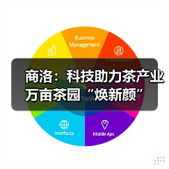 商洛:科技助力茶产业 万亩茶园“焕新颜”(图3) 商洛:科技助力茶产业 万亩茶园“焕新颜”(图3)