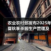 农业农村部发布2025年夏秋季茶园生产管理及防灾减灾技术指导意见(图3) 农业农村部发布2025年夏秋季茶园生产管理及防灾减灾技术指导意见(图3)