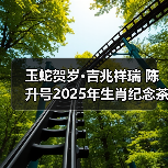 玉蛇贺岁·吉兆祥瑞 陈升号2025年生肖纪念茶“玉蛇兆瑞”面市（图4）