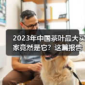 2023年中国茶叶最大买家竟然是它？这篇报告解析中国与摩洛哥茶叶贸易概况（图2）