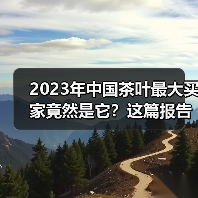 2023年中国茶叶最大买家竟然是它？这篇报告解析中国与摩洛哥茶叶贸易概况（图3）