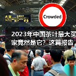 2023年中国茶叶最大买家竟然是它？这篇报告解析中国与摩洛哥茶叶贸易概况（图4）