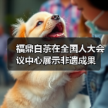 福鼎白茶在全国人大会议中心展示非遗成果(图3) 福鼎白茶在全国人大会议中心展示非遗成果(图3)