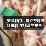 安徽祁门:建立茶叶溯源机制 实现食品安全“一码溯源”(图1) 安徽祁门:建立茶叶溯源机制 实现食品安全“一码溯源”(图1)