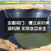 安徽祁门:建立茶叶溯源机制 实现食品安全“一码溯源”(图3) 安徽祁门:建立茶叶溯源机制 实现食品安全“一码溯源”(图3)