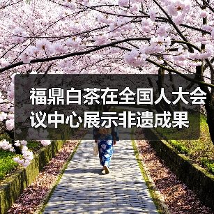 福鼎白茶在全国人大会议中心展示非遗成果(图4) 福鼎白茶在全国人大会议中心展示非遗成果(图4)