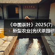 《中国茶叶》2025(7)：新型农业|光伏茶园研究；长期难题|低产低效茶园改造研究；年度进展 乌龙茶品质与加工技术（图1）