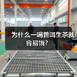 为什么一喝普洱生茶就容易饿？（图2）