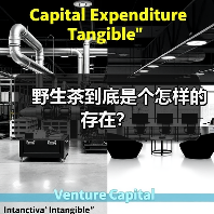 野生茶到底是个怎样的存在？（图1）