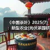 《中国茶叶》2025(7)：新型农业|光伏茶园研究；长期难题|低产低效茶园改造研究；年度进展 乌龙茶品质与加工技术（图3）