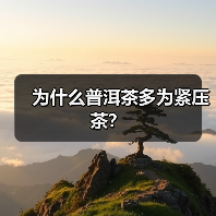 为什么普洱茶多为紧压茶?(图1) 为什么普洱茶多为紧压茶?(图1)