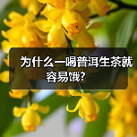 为什么一喝普洱生茶就容易饿？（图4）