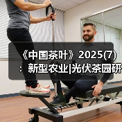 《中国茶叶》2025(7)：新型农业|光伏茶园研究；长期难题|低产低效茶园改造研究；年度进展 乌龙茶品质与加工技术（图4）