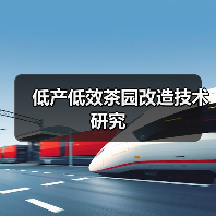 低产低效茶园改造技术研究（图3）