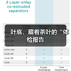 叶底,藏着茶叶的“体检报告(图1) 叶底,藏着茶叶的“体检报告(图1)