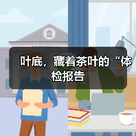 叶底,藏着茶叶的“体检报告(图3) 叶底,藏着茶叶的“体检报告(图3)