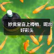 妙贡堂喜上梅梢,喝出好彩头(图3) 妙贡堂喜上梅梢,喝出好彩头(图3)