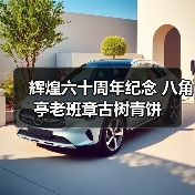 辉煌六十周年纪念 八角亭老班章古树青饼(图3) 辉煌六十周年纪念 八角亭老班章古树青饼(图3)