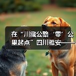 在“川藏公路‘零’公里起点”四川雅安——古道开新篇 茶香沁人心(图1) 在“川藏公路‘零’公里起点”四川雅安——古道开新篇 茶香沁人心(图1)