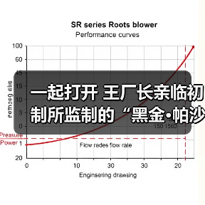 一起打开 王厂长亲临初制所监制的“黑金·帕沙”奥妙…（图4）