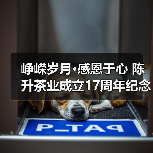 峥嵘岁月·感恩于心 陈升茶业成立17周年纪念茶·天韵面市（图3）