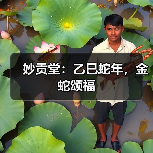 妙贡堂:乙巳蛇年,金蛇颂福(图2) 妙贡堂:乙巳蛇年,金蛇颂福(图2)