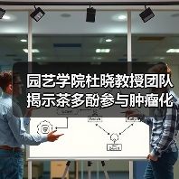 园艺学院杜晓教授团队揭示茶多酚参与肿瘤化疗的增效减毒新策略（图3）