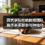 园艺学院杜晓教授团队揭示茶多酚参与肿瘤化疗的增效减毒新策略（图2）