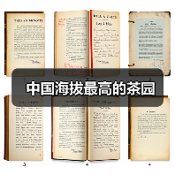 中国海拔最高的茶园(图2) 中国海拔最高的茶园(图2)