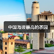 中国海拔最高的茶园(图3) 中国海拔最高的茶园(图3)