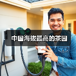 中国海拔最高的茶园(图4) 中国海拔最高的茶园(图4)