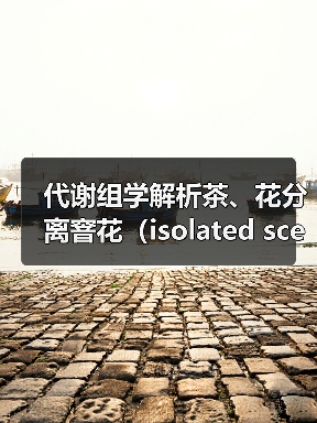 代谢组学解析茶、花分离窨花(isolated scenting)对碎绿茶滋味的影响(图3) 代谢组学解析茶、花分离窨花(isolated scenting)对碎绿茶滋味的影响(图3)