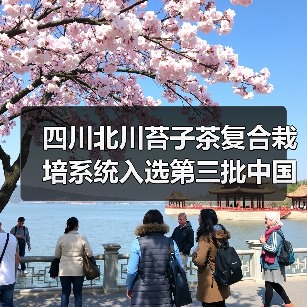 四川北川苔子茶复合栽培系统入选第三批中国全球重要农业文化遗产预备名单（图3）