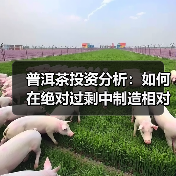 普洱茶投资分析：如何在绝对过剩中制造相对稀缺（图2）