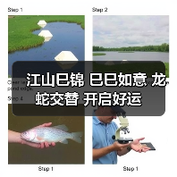 江山巳锦 巳巳如意 龙蛇交替 开启好运(图1) 江山巳锦 巳巳如意 龙蛇交替 开启好运(图1)
