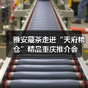 雅安藏茶走进“天府粮仓”精品重庆推介会(图2) 雅安藏茶走进“天府粮仓”精品重庆推介会(图2)