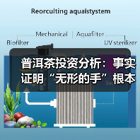 普洱茶投资分析:事实证明“无形的手”根本靠不住(图2) 普洱茶投资分析:事实证明“无形的手”根本靠不住(图2)