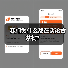 我们为什么都在谈论古茶树?(图3) 我们为什么都在谈论古茶树?(图3)