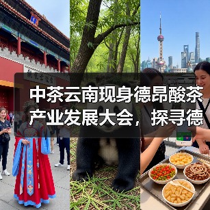中茶云南现身德昂酸茶产业发展大会,探寻德昂酸茶发展新机遇(图3) 中茶云南现身德昂酸茶产业发展大会,探寻德昂酸茶发展新机遇(图3)