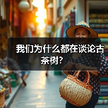 我们为什么都在谈论古茶树?(图4) 我们为什么都在谈论古茶树?(图4)